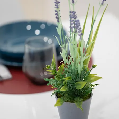 Apartment Elegant House - 5 Minuti Da Ponte Milvio *